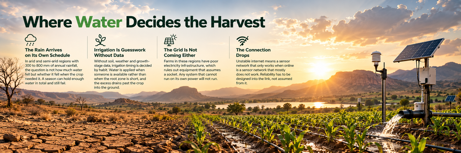 MAJI HARVEST Where Water Decides the Harvest